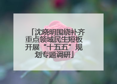 沈晓明围绕补齐重点领域民生短板开展“十五五”规划专题调研