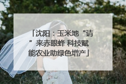 沈阳：玉米地“请”来赤眼蜂 科技赋能农业助绿色增产