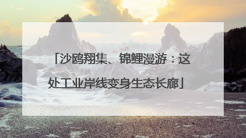 沙鸥翔集、锦鲤漫游：这处工业岸线变身生态长廊