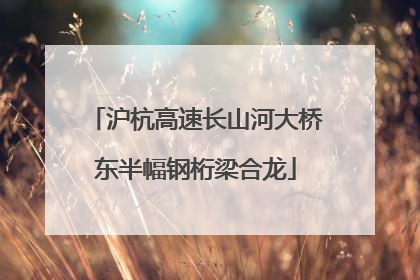 沪杭高速长山河大桥东半幅钢桁梁合龙