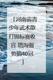 河南省青少年武术散打锦标赛收官 塔沟强势摘40冠