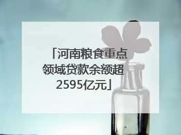 河南粮食重点领域贷款余额超2595亿元