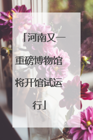 河南又一重磅博物馆将开馆试运行