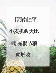 河南镇平：小麦机收大比武 减损节粮助增收
