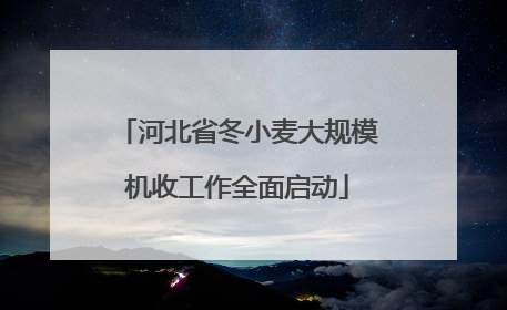 河北省冬小麦大规模机收工作全面启动