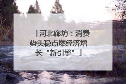 河北廊坊：消费势头稳点燃经济增长“新引擎”