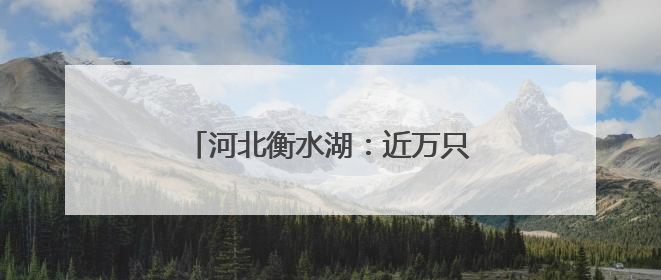 河北衡水湖：近万只夏候鸟进入繁殖期