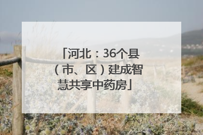 河北：36个县（市、区）建成智慧共享中药房
