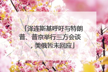 泽连斯基呼吁与特朗普、普京举行三方会谈，美俄暂未回应