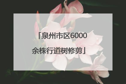 泉州市区6000余株行道树修剪