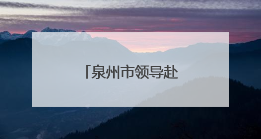 泉州市领导赴台商投资区调研重点招商项目