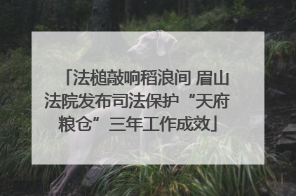 法槌敲响稻浪间 眉山法院发布司法保护“天府粮仓”三年工作成效