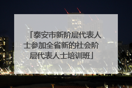 泰安市新阶层代表人士参加全省新的社会阶层代表人士培训班