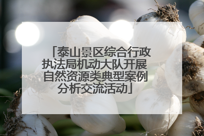 泰山景区综合行政执法局机动大队开展自然资源类典型案例分析交流活动