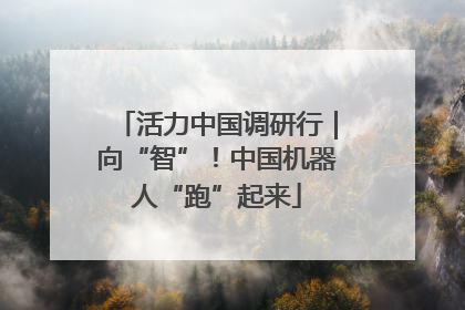 活力中国调研行｜向“智”！中国机器人“跑”起来