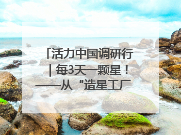 活力中国调研行｜每3天一颗星！——从“造星工厂”到太空织网的“银河速度”
