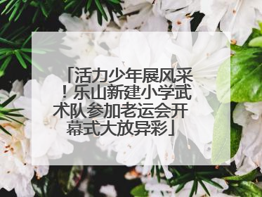 活力少年展风采！乐山新建小学武术队参加老运会开幕式大放异彩