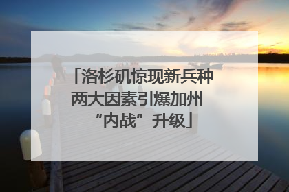 洛杉矶惊现新兵种 两大因素引爆加州“内战”升级