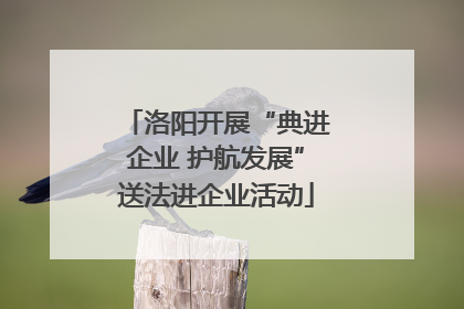 洛阳开展“典进企业 护航发展”送法进企业活动