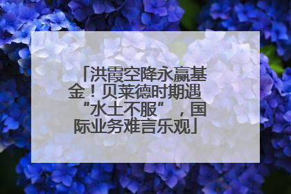 洪霞空降永赢基金！贝莱德时期遇“水土不服”，国际业务难言乐观
