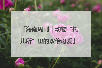 海南周刊｜动物“托儿所”里的双倍母爱
