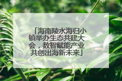 海南陵水海归小镇举办生态共建大会，数智赋能产业共创出海新未来