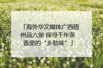 海外华文媒体广西梧州品六堡 探寻千年茶香里的“乡愁味”