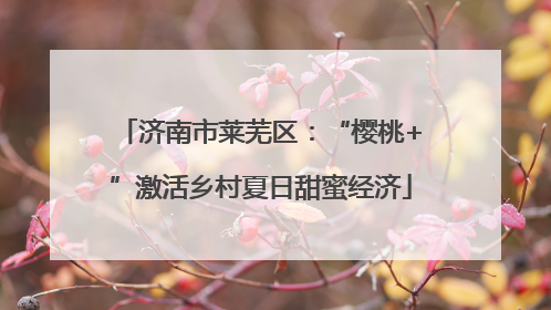 济南市莱芜区：“樱桃+”激活乡村夏日甜蜜经济
