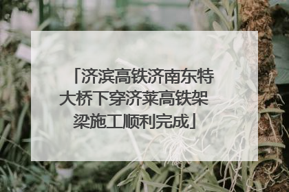 济滨高铁济南东特大桥下穿济莱高铁架梁施工顺利完成