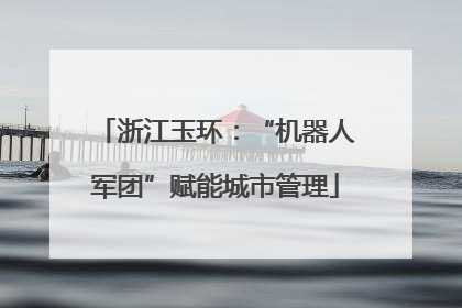 浙江玉环：“机器人军团”赋能城市管理