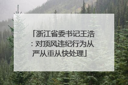 浙江省委书记王浩：对顶风违纪行为从严从重从快处理