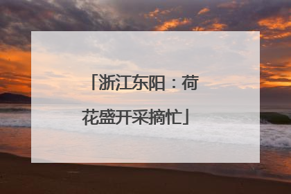 浙江东阳：荷花盛开采摘忙