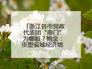 浙江各市党政代表团“串门”为哪般？鲍金：重塑省域经济地理的破题之道