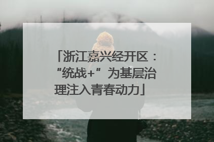浙江嘉兴经开区：“统战+”为基层治理注入青春动力