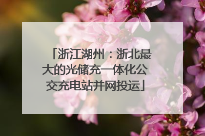 浙江湖州：浙北最大的光储充一体化公交充电站并网投运