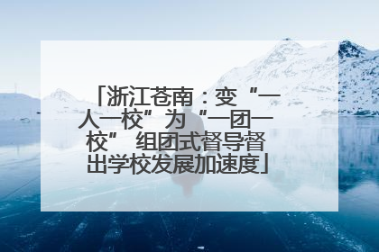 浙江苍南：变“一人一校”为“一团一校” 组团式督导督出学校发展加速度