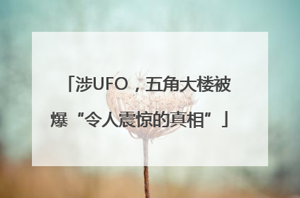涉UFO，五角大楼被爆“令人震惊的真相”