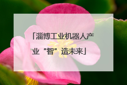 淄博工业机器人产业“智”造未来