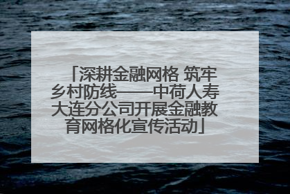 深耕金融网格 筑牢乡村防线——中荷人寿大连分公司开展金融教育网格化宣传活动