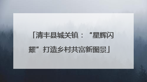 清丰县城关镇：“星辉闪耀”打造乡村共富新图景