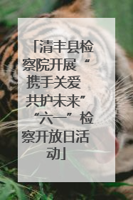 清丰县检察院开展“携手关爱 共护未来”“六一”检察开放日活动