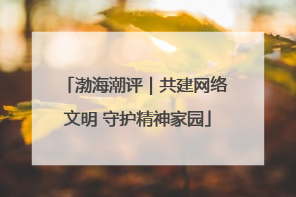 渤海潮评｜共建网络文明 守护精神家园