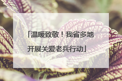 温暖致敬！我省多地开展关爱老兵行动