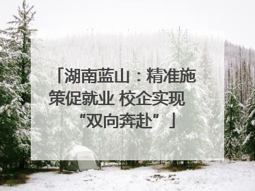 湖南蓝山：精准施策促就业 校企实现“双向奔赴”