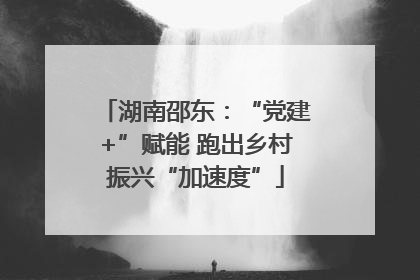 湖南邵东：“党建+”赋能 跑出乡村振兴“加速度”