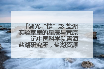湖光“链”影 盐湖实验室里的星辰与荒原——记中国科学院青海盐湖研究所，盐湖资源化学实验室党总支书记、副主任刘忠