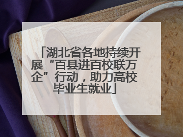 湖北省各地持续开展“百县进百校联万企”行动，助力高校毕业生就业