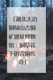 湖北大冶铜绿山古铜矿遗址博物馆：铜草花下的青铜传奇