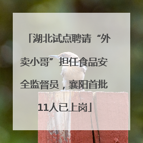 湖北试点聘请“外卖小哥”担任食品安全监督员，襄阳首批11人已上岗