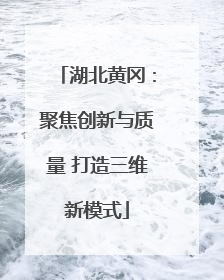 湖北黄冈：聚焦创新与质量 打造三维新模式